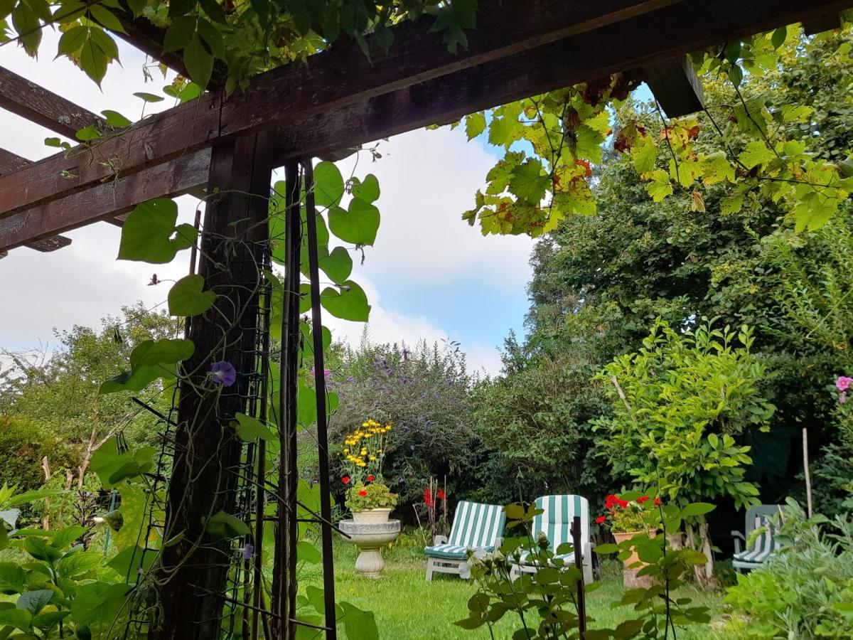 Aux Glycines Panzió Marcilly-Ogny Kültér fotó